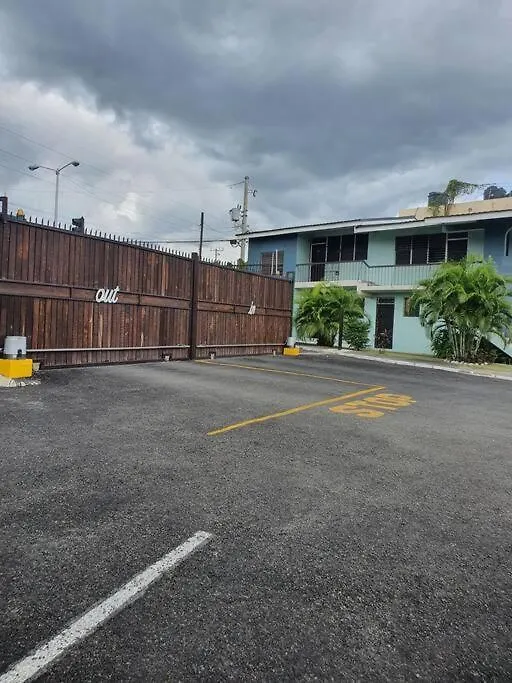 The Liguanea Gem Daire Kingston