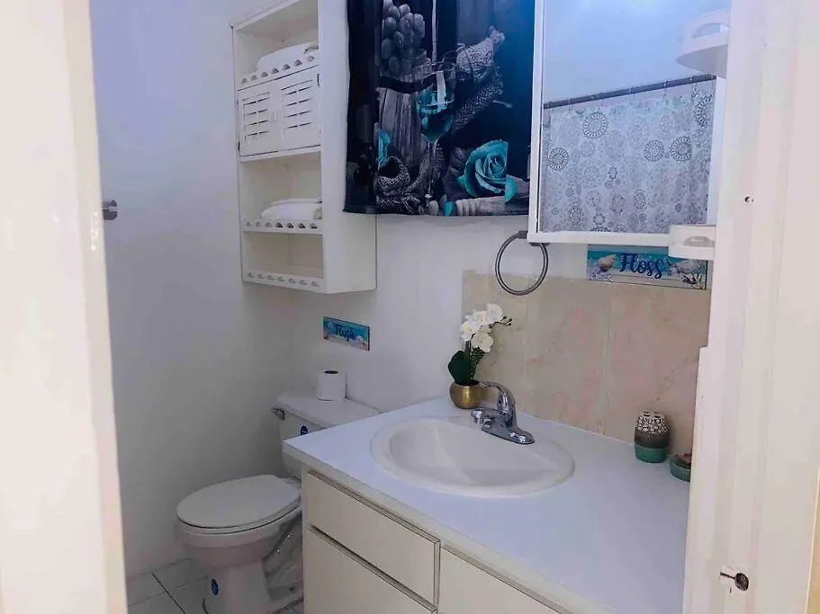 The Liguanea Gem Apartment Kingston